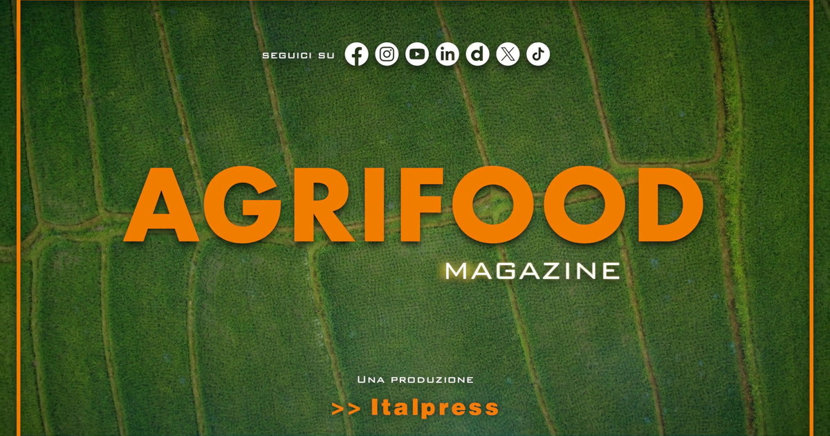 Agrifood Magazine - 29/7/2026
