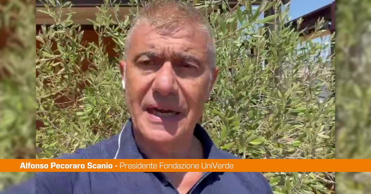 Pecoraro Scanio "Emergenza climatica è realtà, serve un piano del Governo"