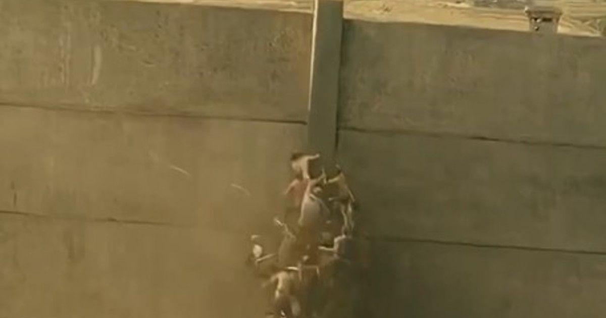 Ceuta come l'invasione di zombie, il video di Musk contro la sinistra delle porte aperte