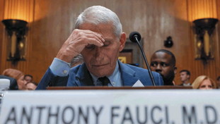 Fauci fa scena muta come Conte: invocato il "quinto emendamento" pi&ugrave; di cento volte