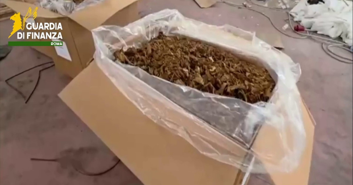 Roma, maxi sequestro di tabacco in un capannone
