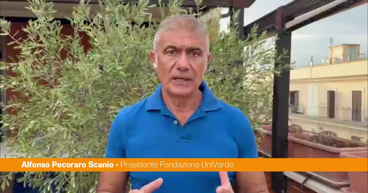 Pecoraro Scanio "Arrestare gli incendiari anche con le tecnologie EcoDigital"