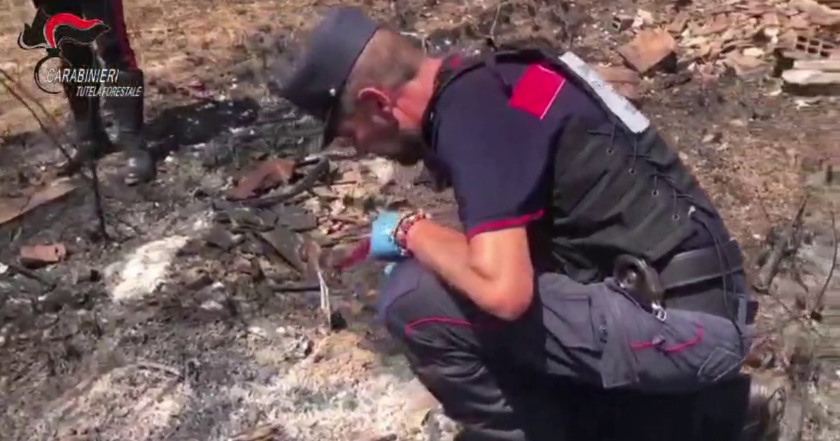 Appicca il fuoco vicino a un bosco a Morano Calabro, 56enne arrestato