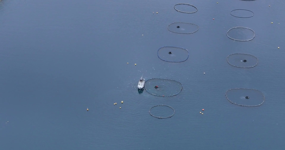 Pesca, 3 milioni per le imprese colpite dal maltempo