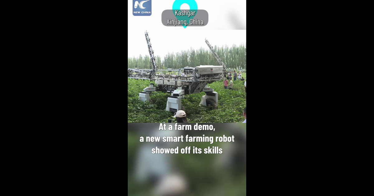 Cina, robot aiuta i coltivatori in un'azienda agricola nello Xinjiang