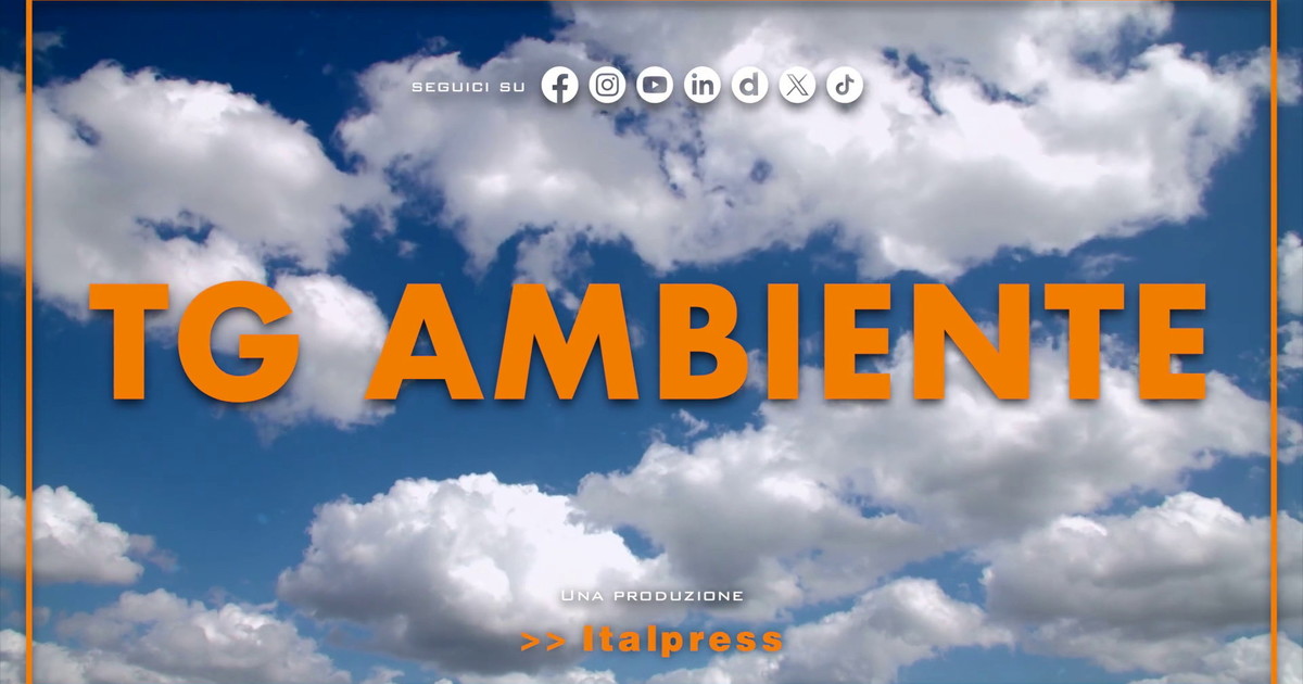 Tg Ambiente - 9/8/2026