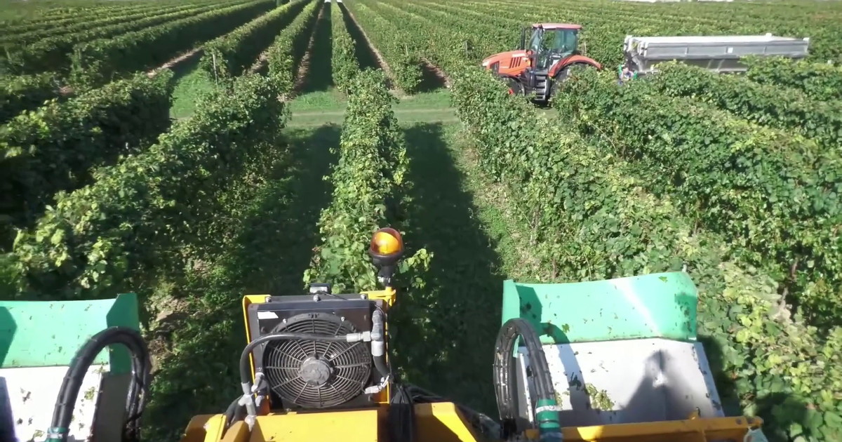 Coltivaitalia, nuove risorse per l'agricoltura