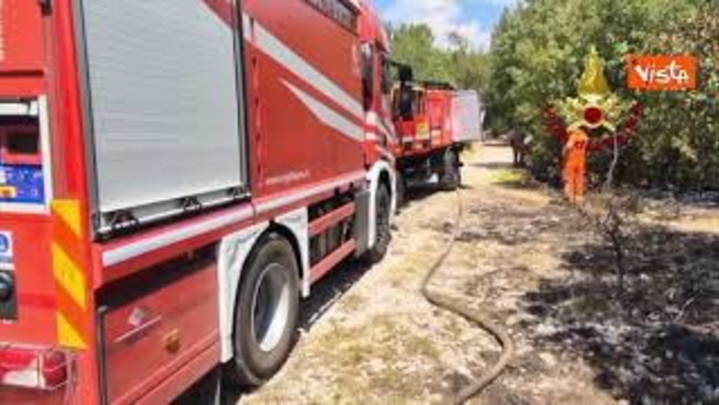 Al via bonifica dei Vigili del fuoco sull incendio boschivo sul Carso triestino