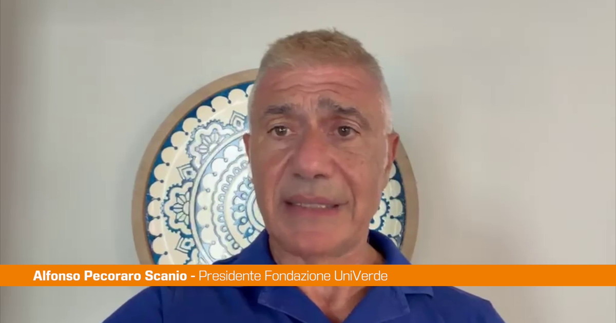 Siccità e incendi, Pecoraro Scanio "Il Governo proclami l'emergenza climatica"