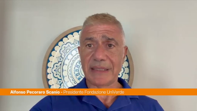 Siccità e incendi, Pecoraro Scanio 'Il Governo proclami l'emergenza climatica'