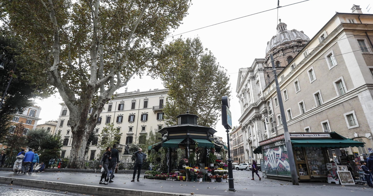 roma turista ebreo aggredito due volte da un algerino gridava free palestine da Iltempo.it roma turista ebreo aggredito due volte da un algerino gridava free palestine
