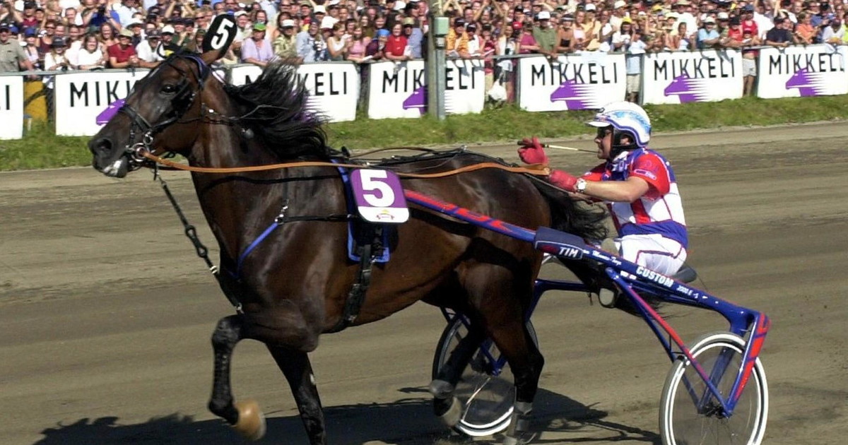 varenne 232 morto il cavallo leggenda del trotto aveva 31 anni e duemila figli da Iltempo.it varenne 232 morto il cavallo leggenda del trotto aveva 31 anni e duemila figli