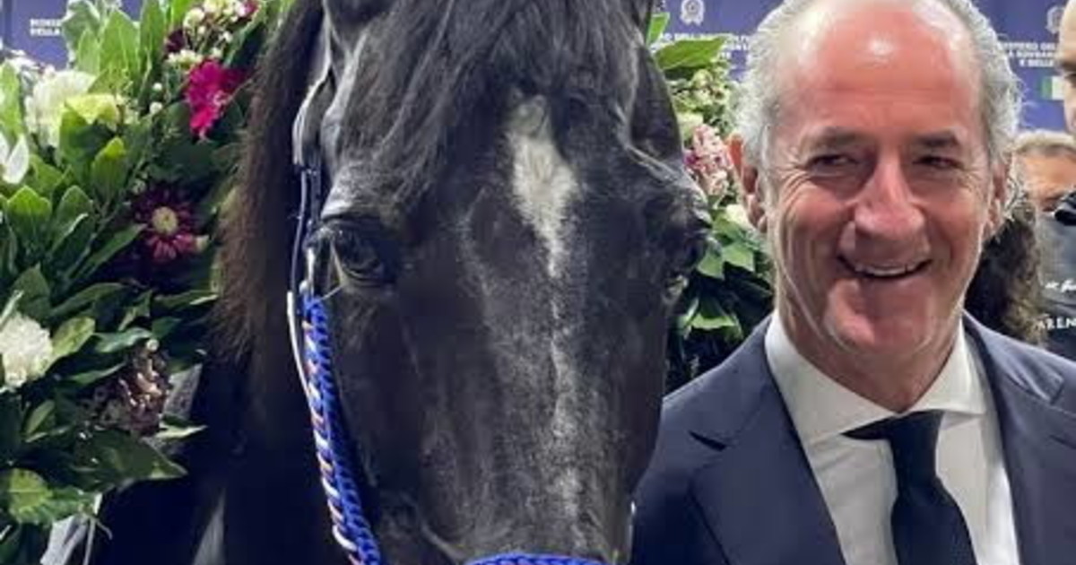 comunicato stampa crv varenne presidente zaia addio al capitano un campione che ha reso orgogliosa l italia da Iltempo.it comunicato stampa crv varenne presidente zaia addio al capitano un campione che ha reso orgogliosa l italia