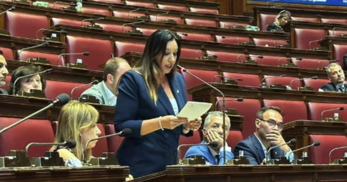 scuola miele lega dirigente in cura no a strumentalizzazioni di una vicenda cos236 delicata da Iltempo.it scuola miele lega dirigente in cura no a strumentalizzazioni di una vicenda cos236 delicata