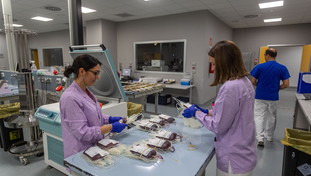 Lazio in rosso per assenza di sangue. A rischio i pazienti oncologici