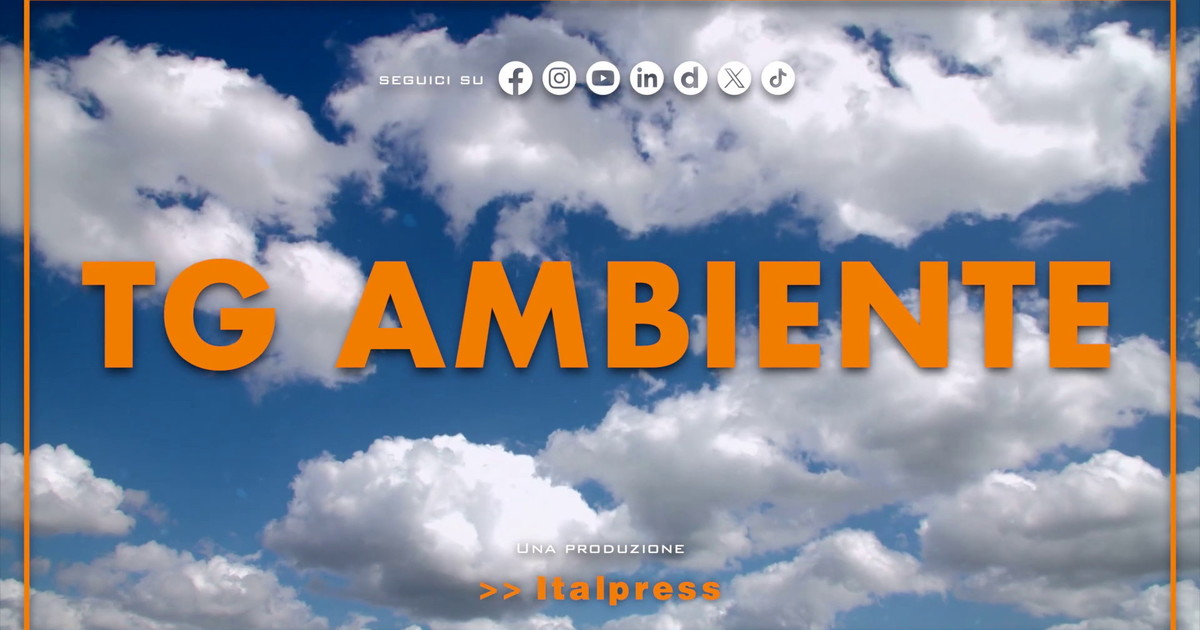 Tg Ambiente - 23/8/2026
