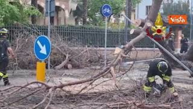 oltre 1200 interventi dei vigili del fuoco per il maltempo al centro nord nelle ultime 24 ore da Iltempo.it oltre 1200 interventi dei vigili del fuoco per il maltempo al centro nord nelle ultime 24 ore