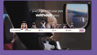 Vacanze con Fido. Ecco come partire in sua compagnia