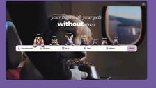 Vacanze con Fido. Ecco come partire in sua compagnia