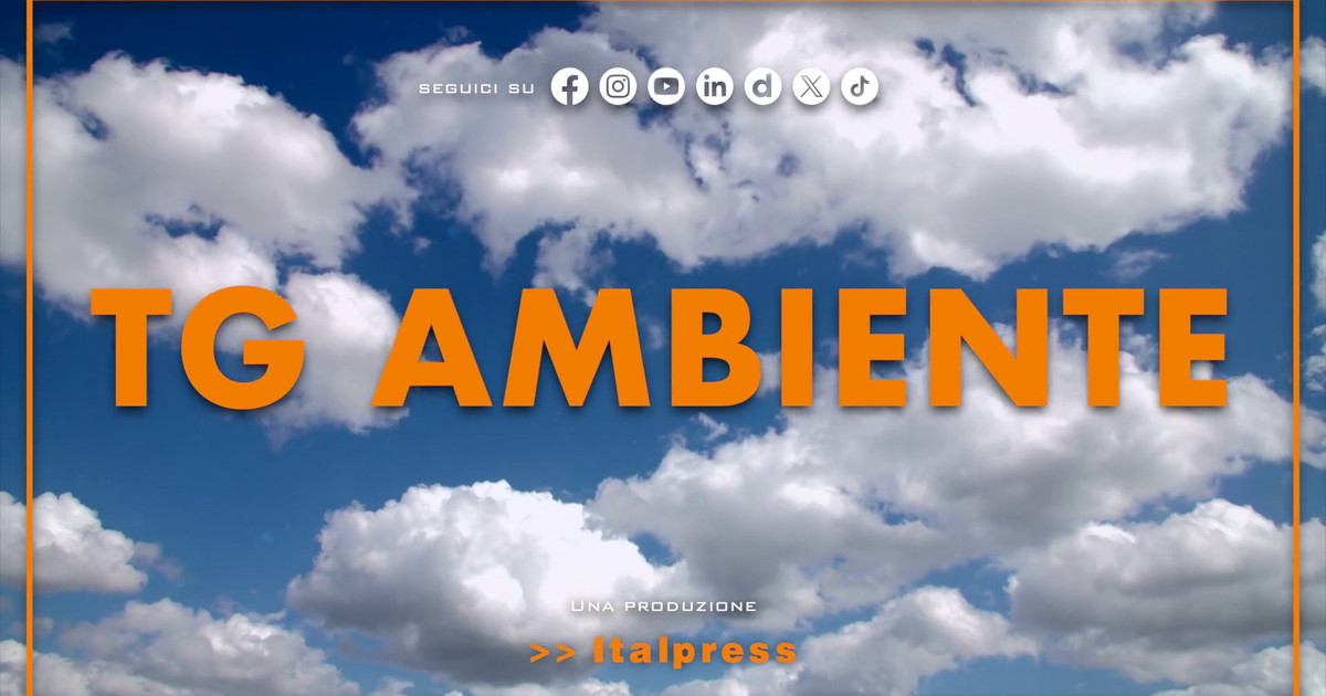 Tg Ambiente - 30/8/2026