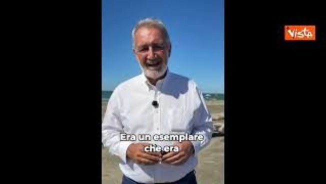 Rocca (Lazio) libera in mare tartaruga Fortuna: Emozione unica con i bambini del Bambino Gesù