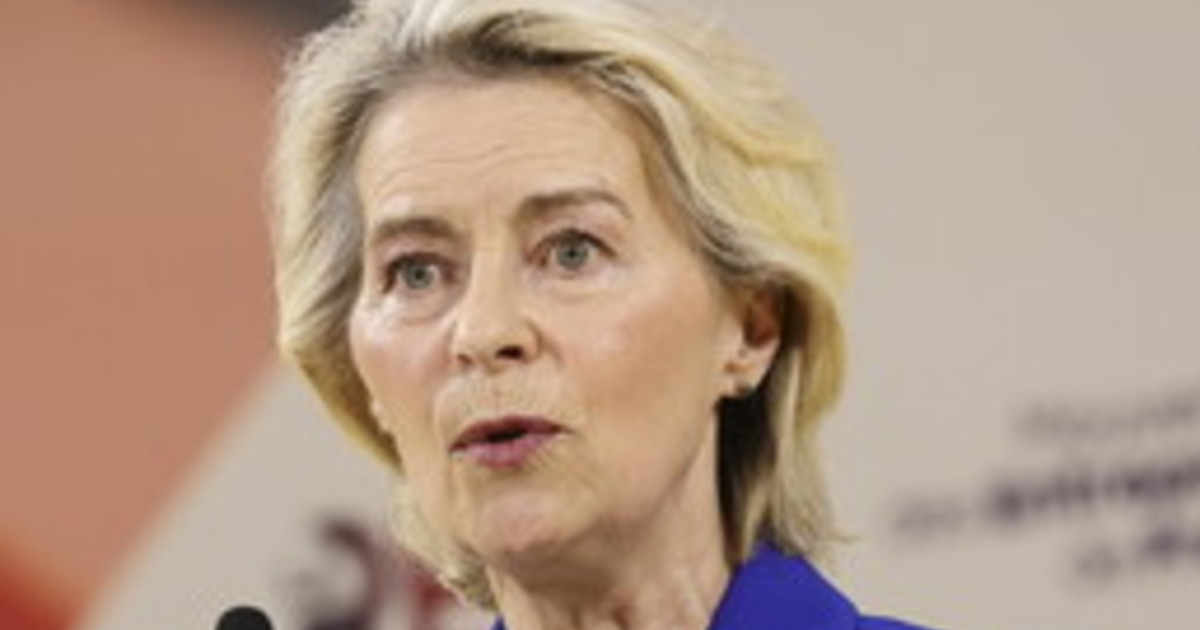 Von der Leyen sente Merz: "Attacchi ibridi russi avranno una risposta"