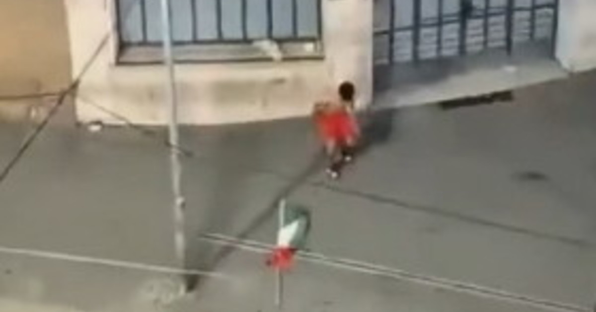 firenze straniero stacca il tricolore e lo getta a terra piantedosi rimpatriato da Iltempo.it firenze straniero stacca il tricolore e lo getta a terra piantedosi rimpatriato