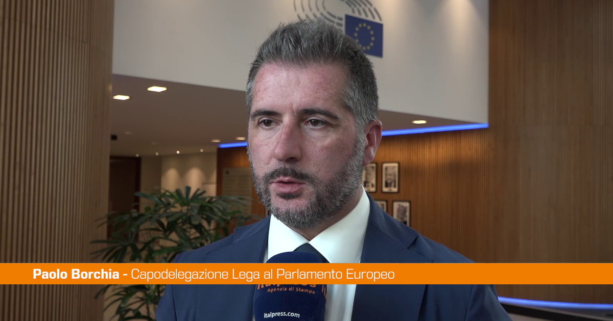 Borchia "Le imprese ci chiedono d'intervenire sul caro energia"