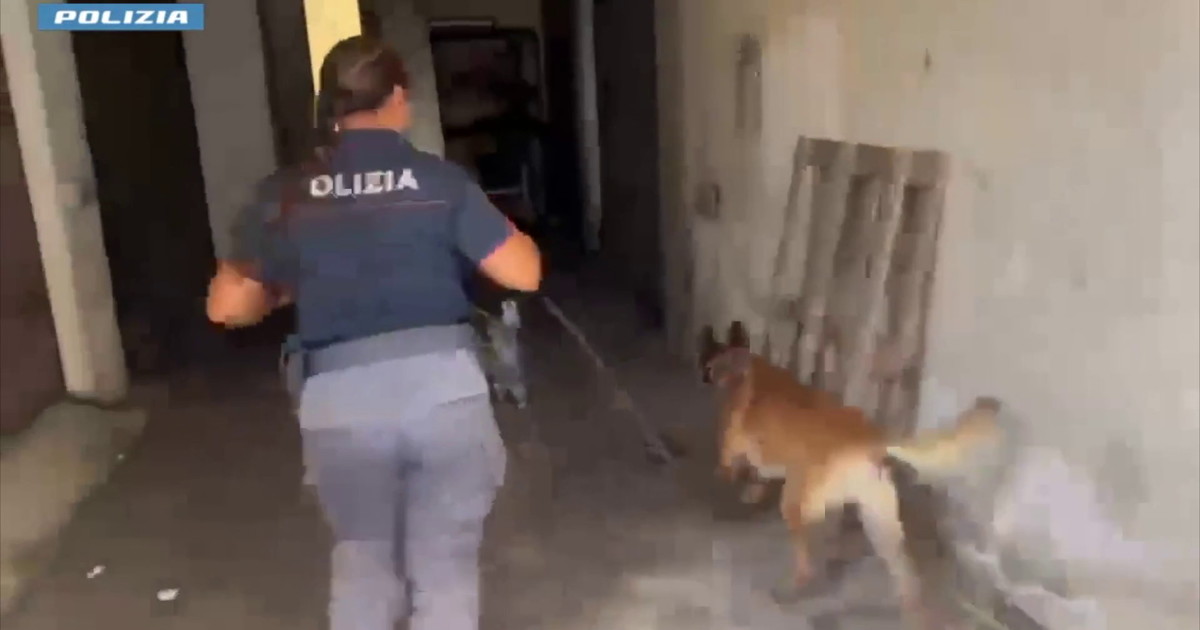 A Catania scoperti 2 chili di marijuana nel sottoscala di un condominio