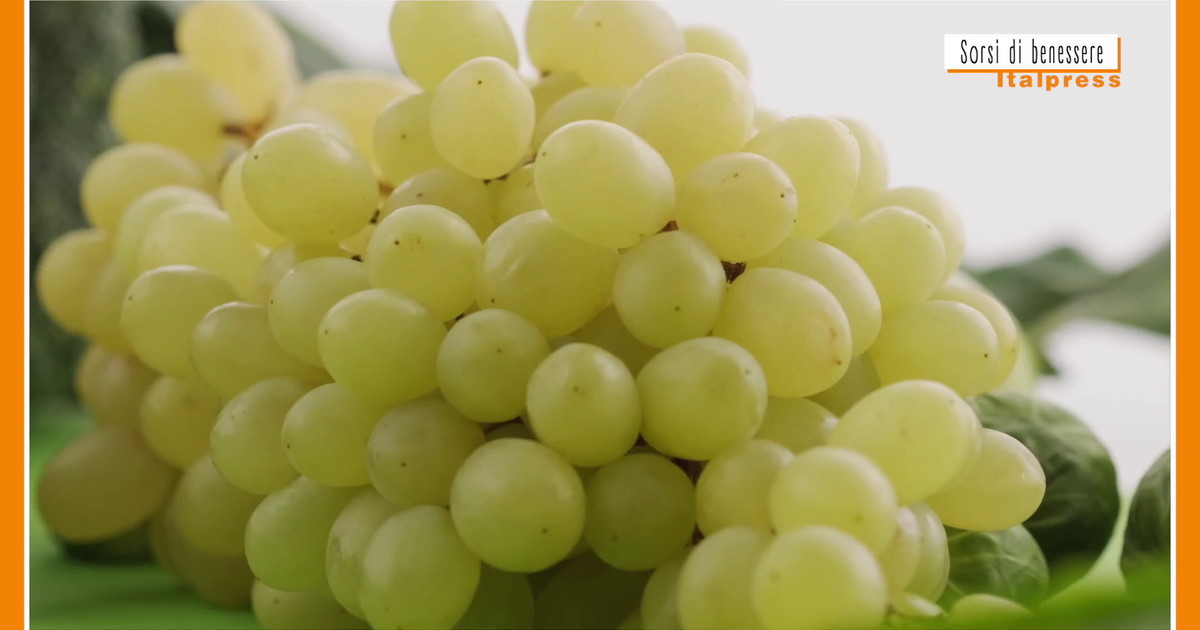 Sorsi di Benessere - Un drink a base di uva e zenzero