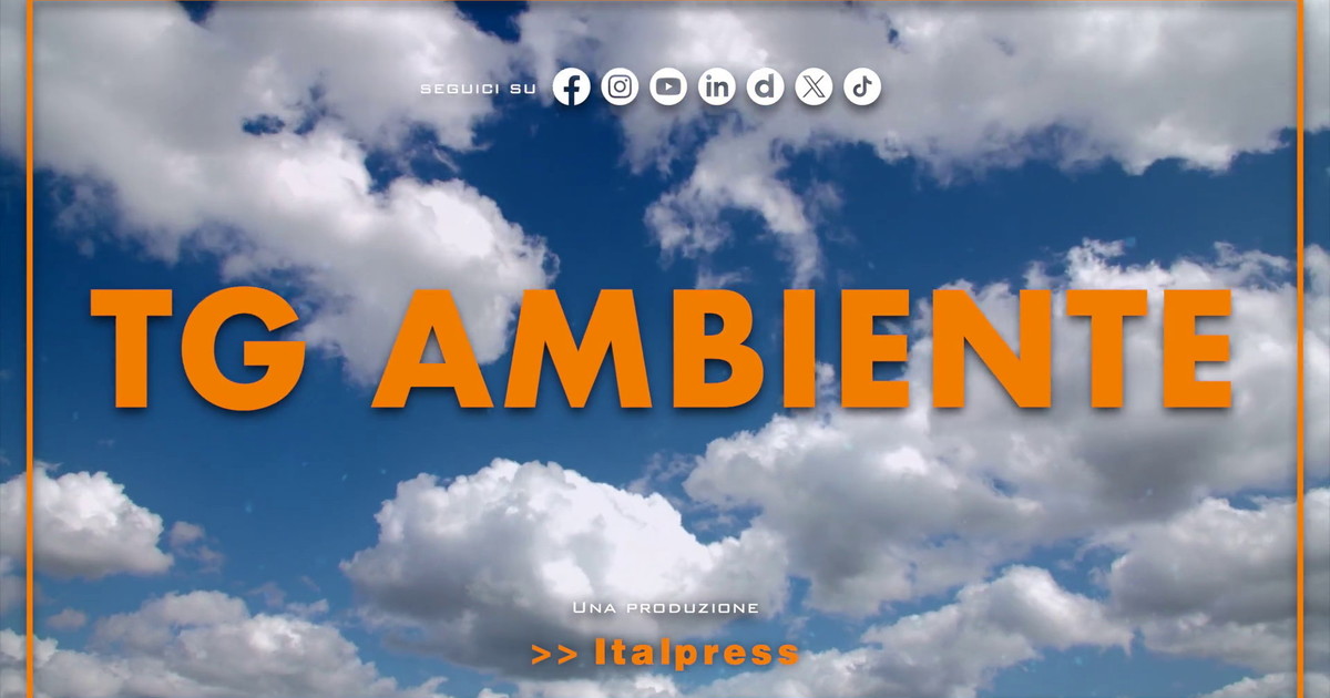 Tg Ambiente - 6/9/2026
