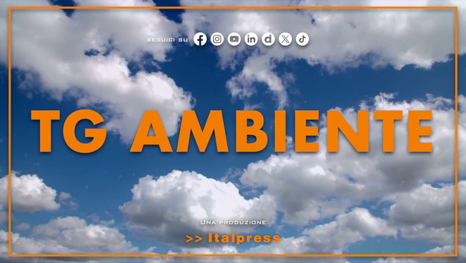 Tg Ambiente - 6/9/2026