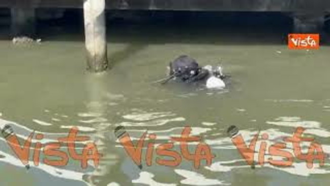 Sommozzatori in azione a Venezia 83 per garantire sicurezza alle star