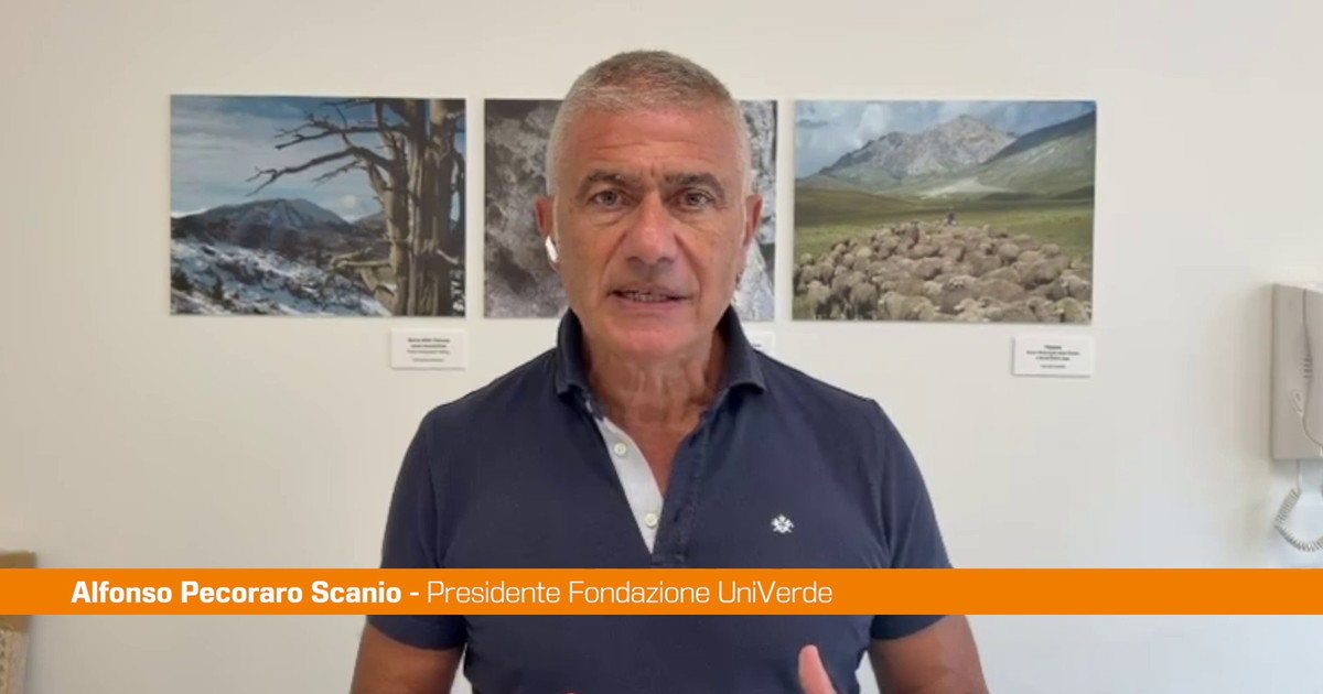 Pecoraro Scanio "Non sottovalutare il voto in Sassonia"