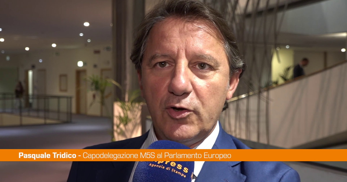 Germania, Tridico "Rispondere a Afd con un’Europa sociale più efficace"