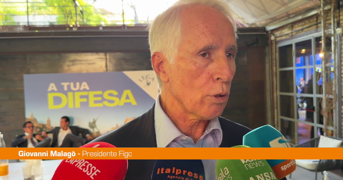 Malagò "C'è senso di responsabilità e fiducia per nuovo corso della Nazionale"