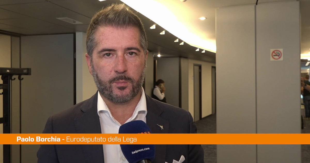 Sassonia, Borchia "Voto è una bocciatura per politiche ambientali di Bruxelles"
