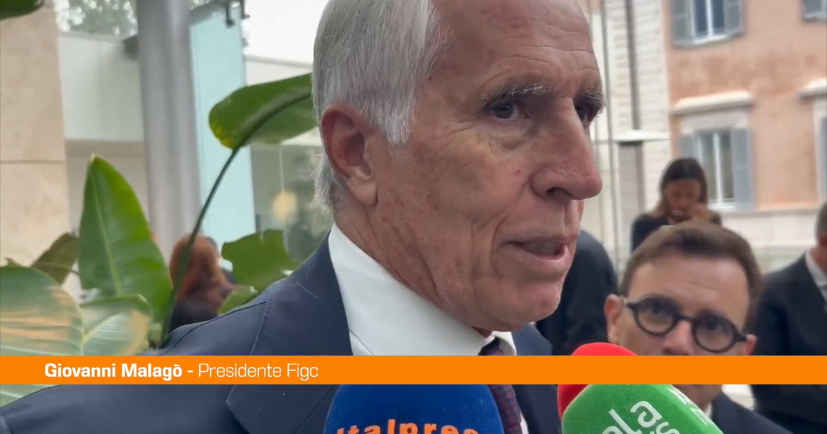 Figc, Malagò "Tesseramento? Caso strano valga solo ad personam"