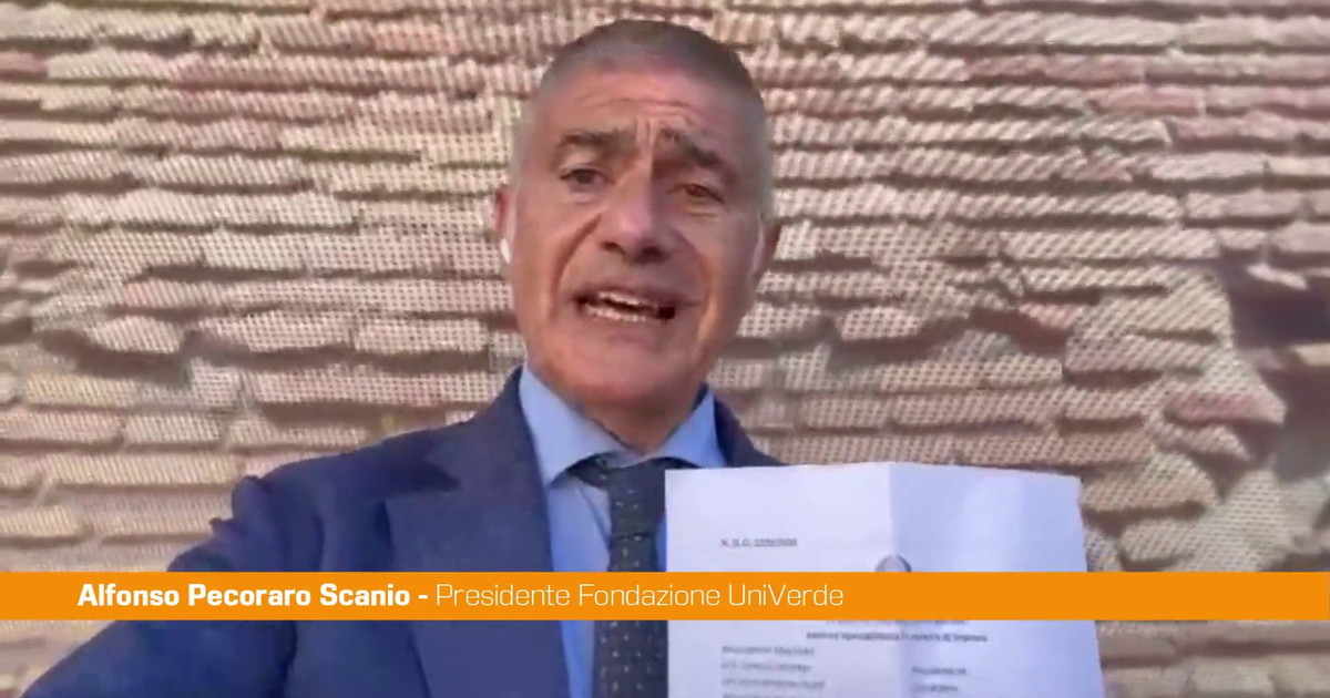 Ex Ilva, Pecoraro Scanio "Il Governo garantisca salute e lavoro"