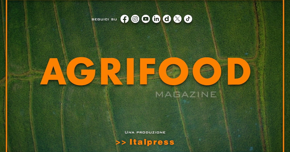 Agrifood Magazine - 16/9/2026