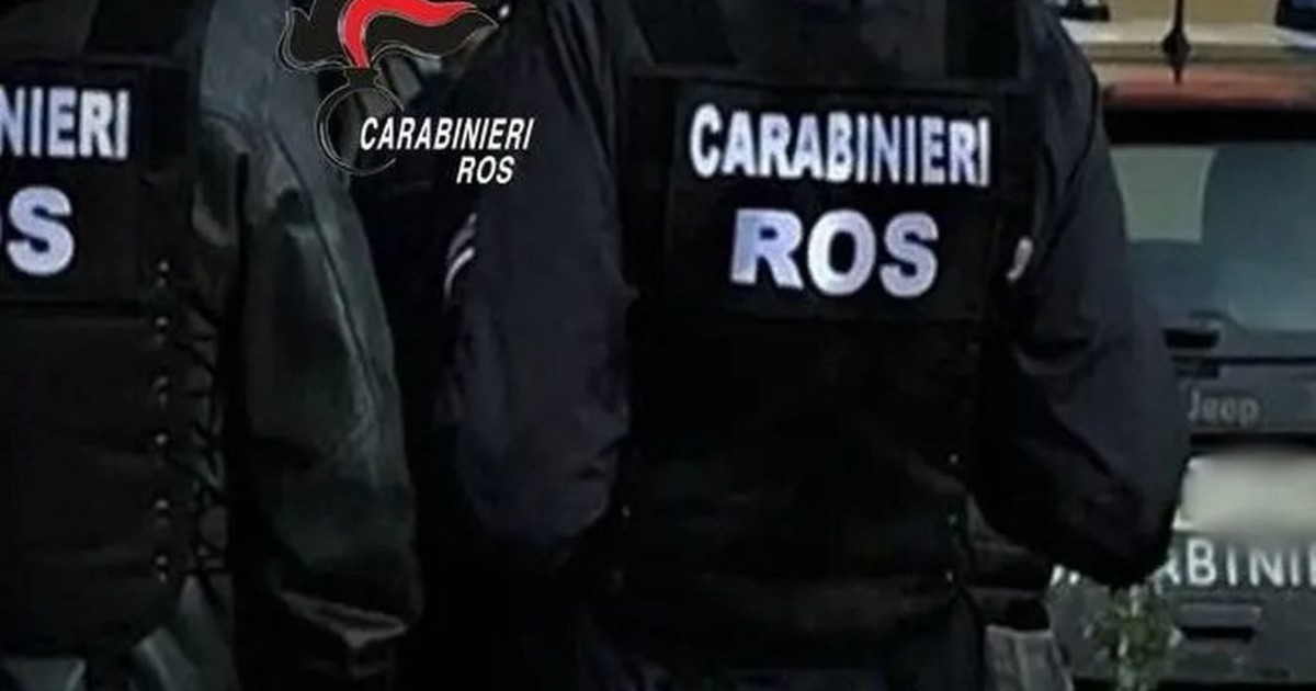 Droga dal Brasile all'Italia, blitz contro la mafia e il narcotraffico