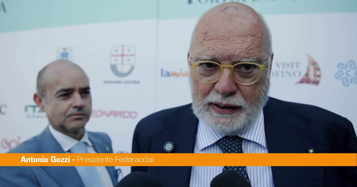 Ex Ilva, Gozzi "Ordinanza Milano mette in discussione regole ordinamento"