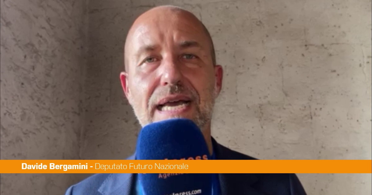 FN, Bergamini "La remigrazione è necessaria per gestire il numero di immigrati"