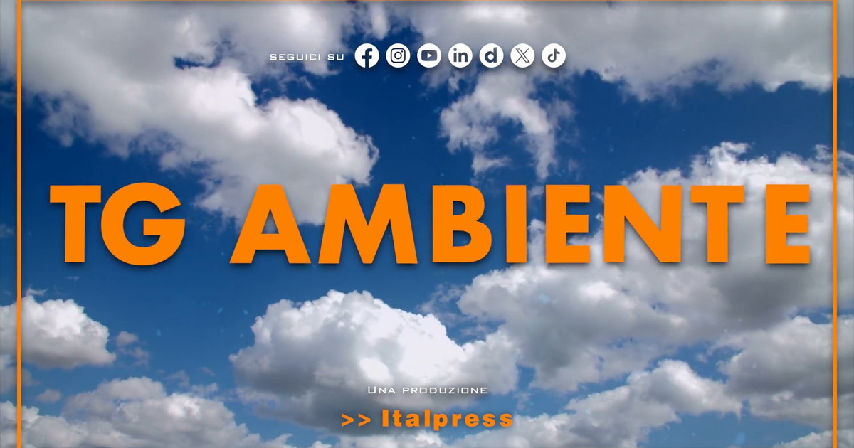 Tg Ambiente - 20/9/2026