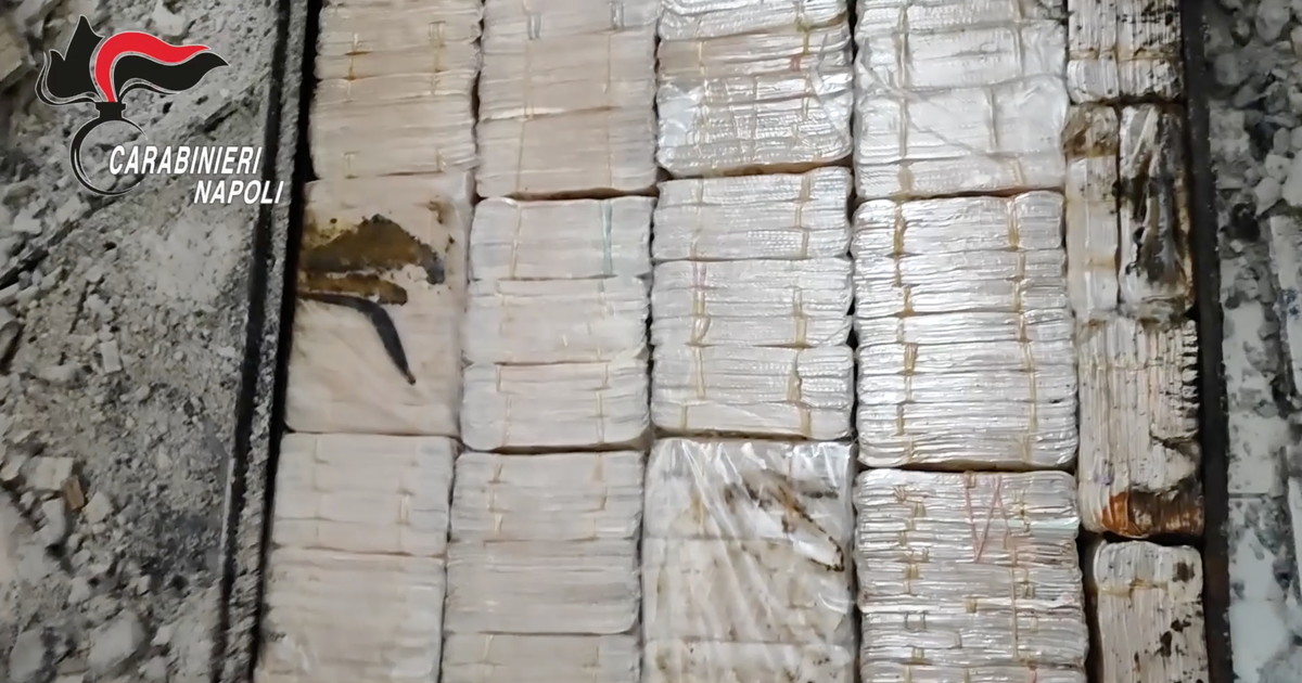 incredibile scoperta dopo il blitz banconote per oltre 3 milioni di euro nascoste nei muri guarda da Iltempo.it incredibile scoperta dopo il blitz banconote per oltre 3 milioni di euro nascoste nei muri guarda