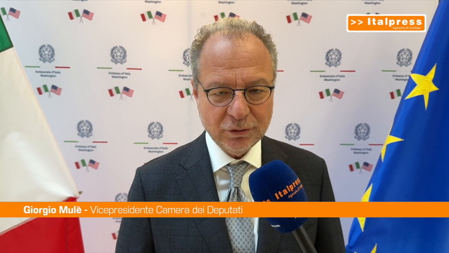 Usa-Italia, Mulè 'Alleanza strategica per le grandi sfide dell'IA'