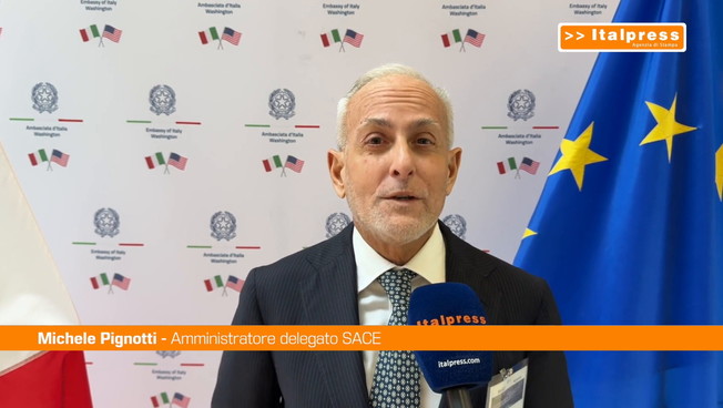 Usa-Italia, Pignotti (Sace) 'Puntiamo su innovazione e nuovi mercati'