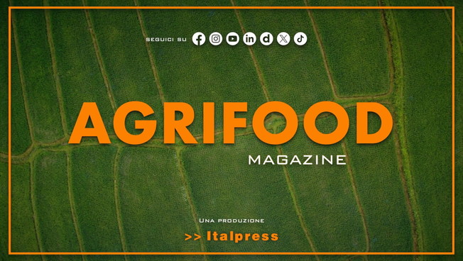 Agrifood Magazine - 21/10/2026
