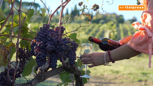 Vino italiano, riparte l'export extraeuropeo