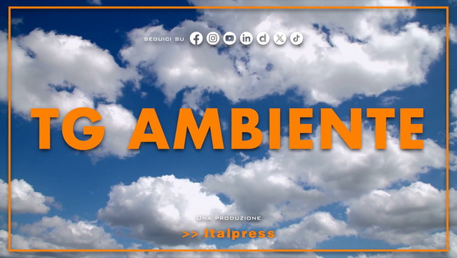 Tg Ambiente - 25/10/2026